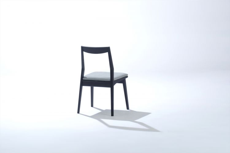 JONAS / Oak Black Back